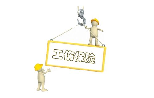 工傷保險(xiǎn)法:新工傷保險(xiǎn)條例詳解 第2張 工傷保險(xiǎn)法:新工傷保險(xiǎn)條例詳解 第2張