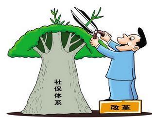 個(gè)人繳納社保和公司繳納的社保有何不同? 第1張 個(gè)人繳納社保和公司繳納的社保有何不同? 第1張