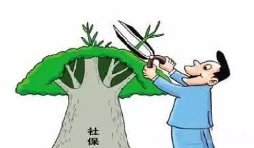 關(guān)于“社保繳納”四大問(wèn)題你得知道 第1張 關(guān)于“社保繳納”四大問(wèn)題你得知道 第1張