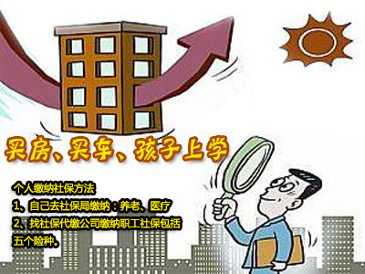 自己個人如何繳納社保？ 第1張