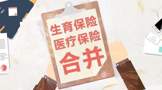 2020年如何為公司交社保? 第1張 2020年如何為公司交社保? 第1張